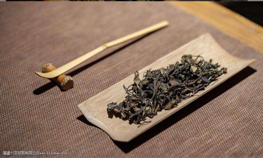 û���Ĳ�Ҷ�ܷż���