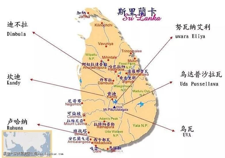 斯里兰卡红茶的保质期一般是多久 斯里兰卡红茶的保质期一般是多久