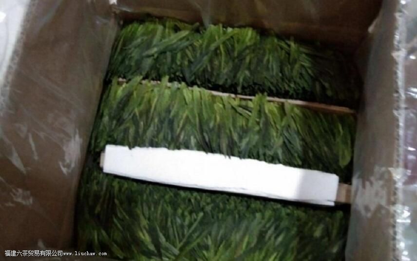 ̫ƽ�����δ�������