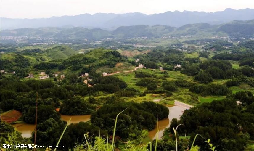 �ٲ���û�д���ںͱ�����