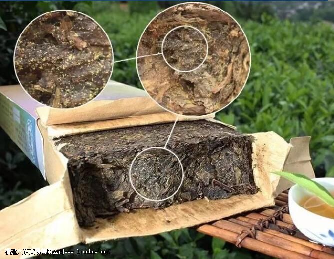 ΪʲôÜò²è²»»á¹ýÆÚ£¬·´¶ø»¹ÄÜ¡°Ô½³ÂÔ½ºÃ¡± ΪʲôÜò²è²»»á¹ýÆÚ£¬·´¶ø»¹ÄÜ¡°Ô½³ÂÔ½ºÃ¡±