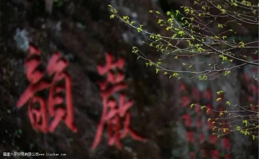 �����Ҳ豣����