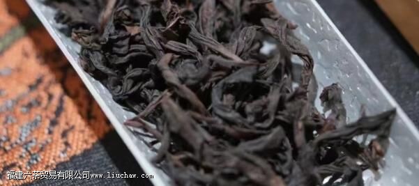 �����Ҳ豣����