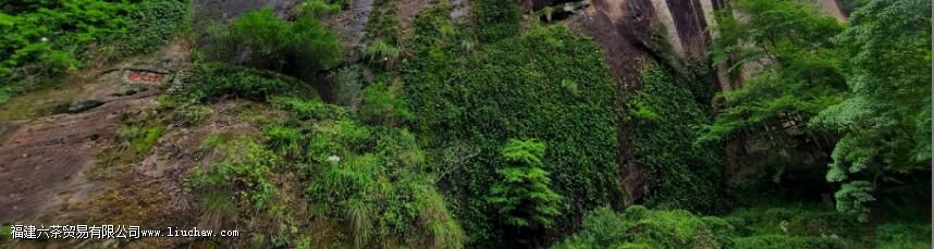 �����Ҳ豣����