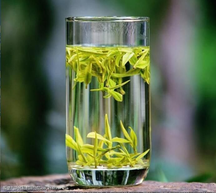 �����ײ�ʲô�˲��˺�