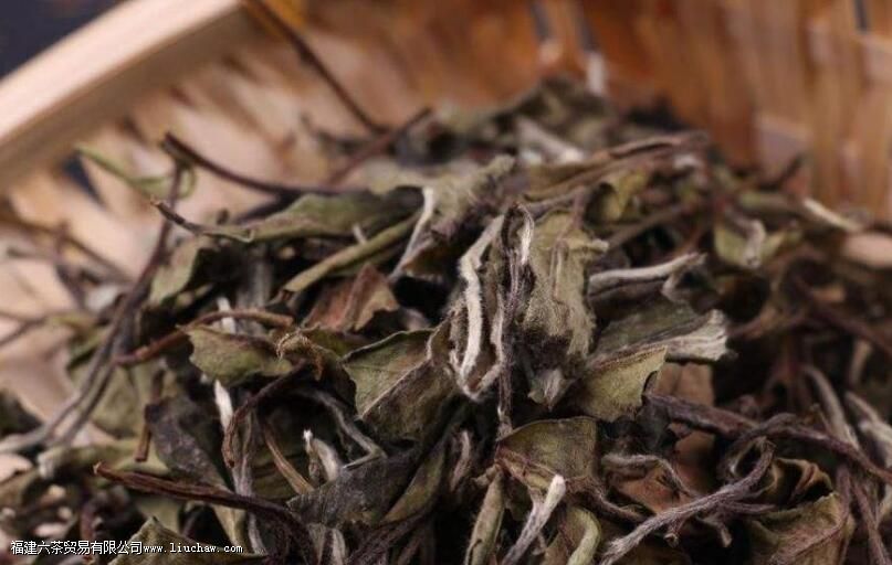 白茶的禁忌及不适宜人群 白茶的禁忌及不适宜人群