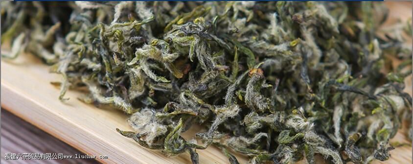 ���ݴ��������Ⱥ