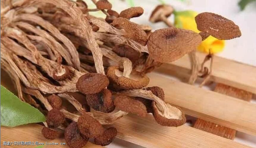 ��������������Ⱥ