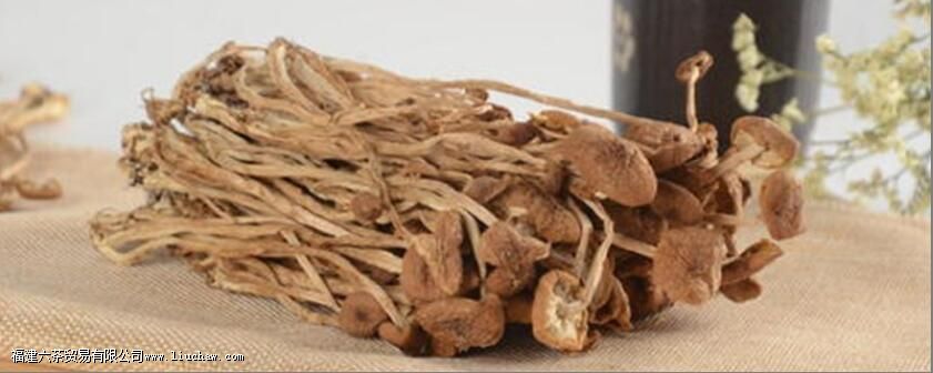 茶树菇禁忌 茶树菇禁忌