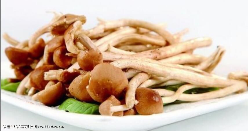 茶树菇禁忌 茶树菇禁忌