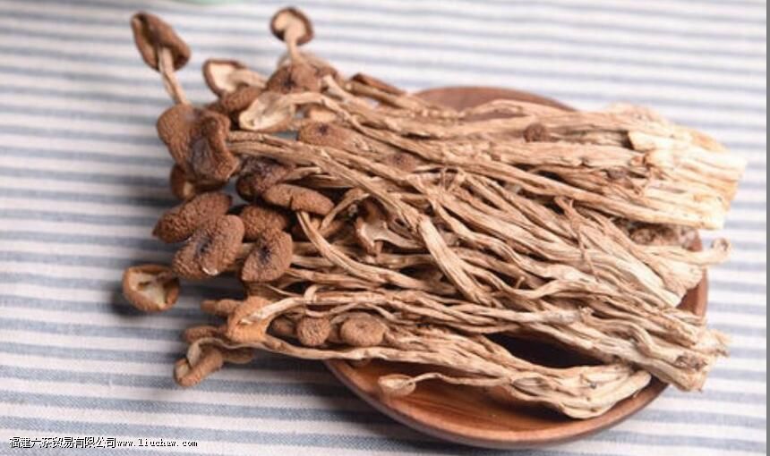 茶树菇禁忌 茶树菇禁忌