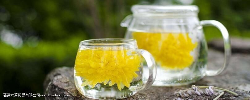 蜂蜜菊花茶的禁忌 蜂蜜菊花茶的禁忌