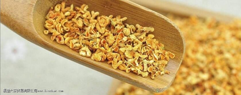 ���ݲ����