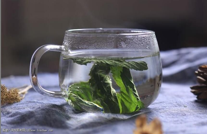 �ȱ��ɲ���ʲô����