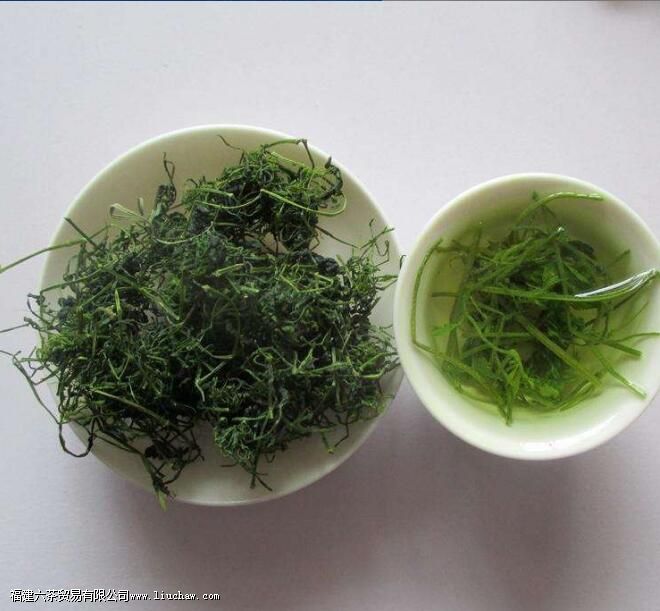 绞股蓝茶禁忌 绞股蓝茶禁忌