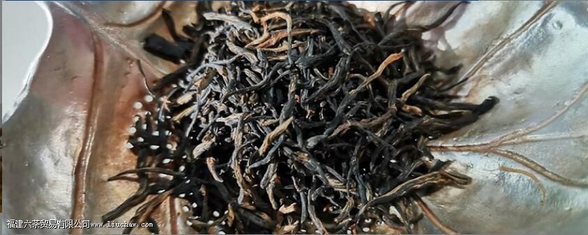 ��ü���ʺ�ʲô��Ⱥ