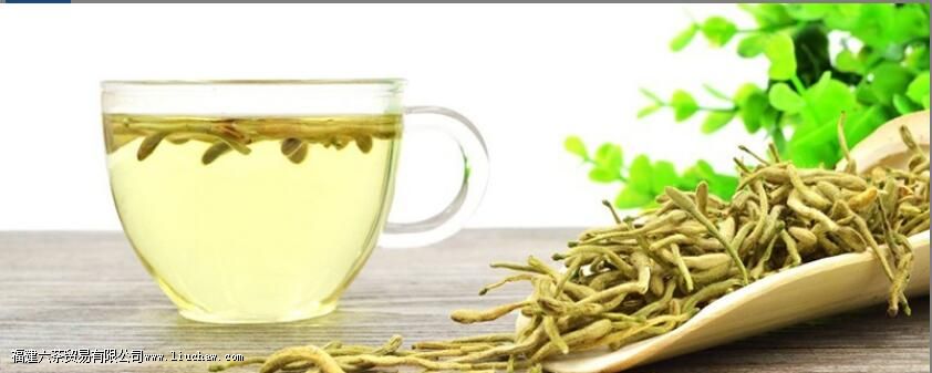 金银花的副作用与禁忌 金银花的副作用与禁忌