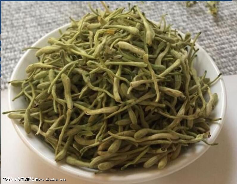 金银花的副作用与禁忌 金银花的副作用与禁忌