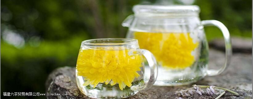 菊花茶的禁忌 菊花茶的禁忌