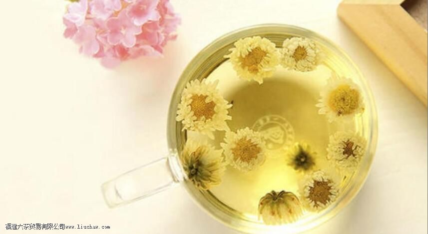 菊花泡水喝的9大禁忌 菊花泡水喝的9大禁忌