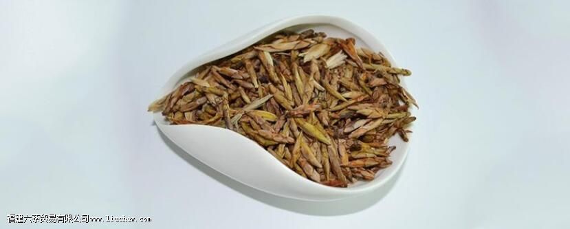 ��ӥ����Щ�˲��ܺ�