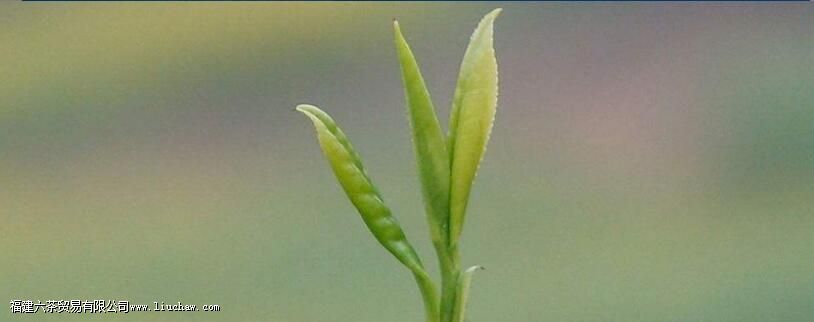 Ů�˳��ں��̲��к���