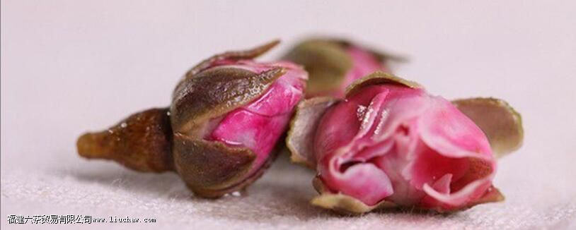 Ů����õ�廨���Σ��