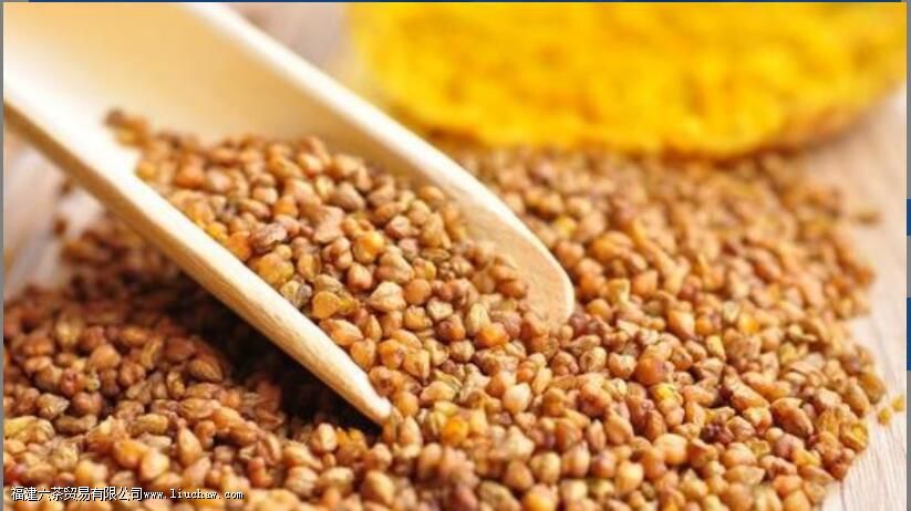 Ů������ȿ���軵��