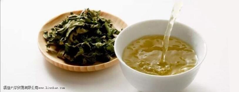 桑叶茶和什么相克 桑叶茶和什么相克