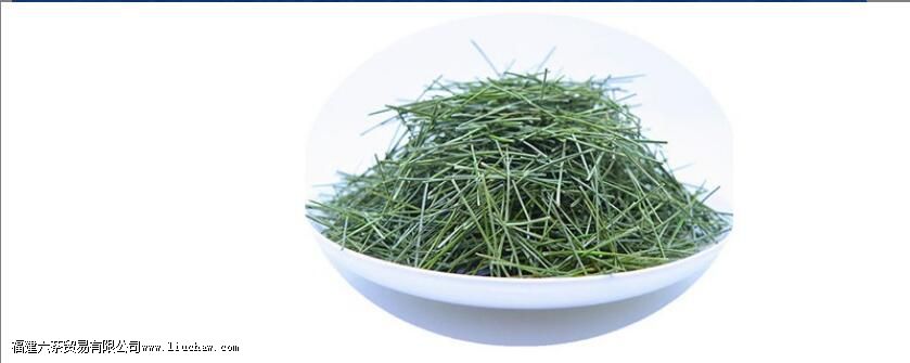 �����Ϊʲô���ܶ��