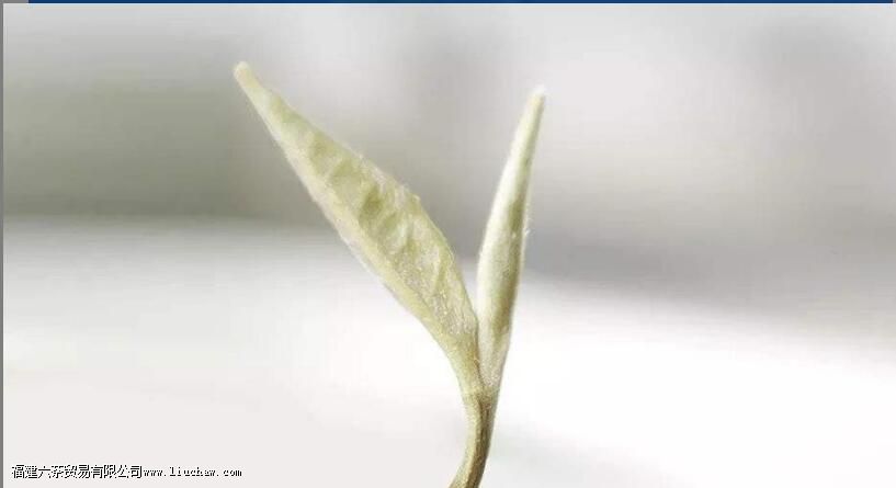 ���Ͽ��Ժ����򻨲���