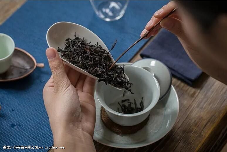 乌龙茶的喝法和禁忌 乌龙茶的喝法和禁忌