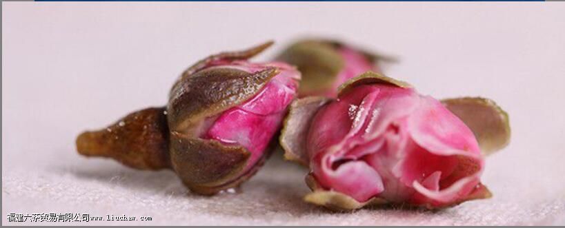 长期喝玫瑰花的副作用 长期喝玫瑰花的副作用