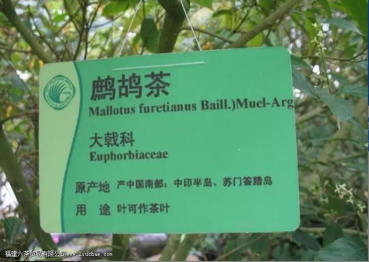 ����Ľ���