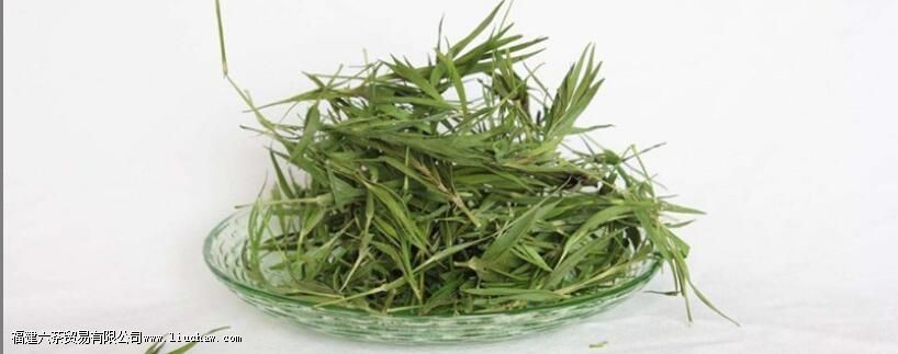 ��Ҷ��Ľ���