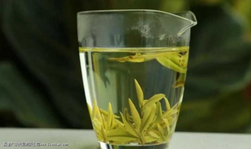 不适合冲泡乌龙茶的茶具 不适合冲泡乌龙茶的茶具