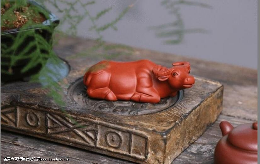 �����ɫ����ʲôԭ��