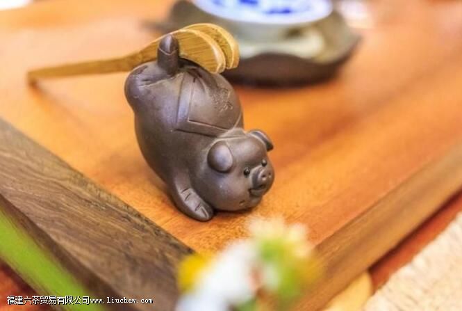 �����ʲô���ճ������Ͱ��漼��ȫ��������