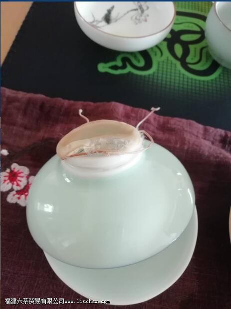 茶滤坏了怎么办?还有救么?学会这招DIY还你一支新茶漏 茶滤坏了怎么办?还有救么?学会这招DIY还你一支新茶漏