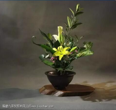 ����Ȳ�֮�� �����Ȳ軹���Բ廨