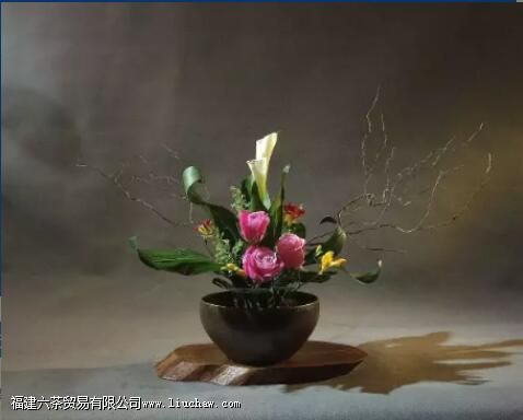 ����Ȳ�֮�� �����Ȳ軹���Բ廨