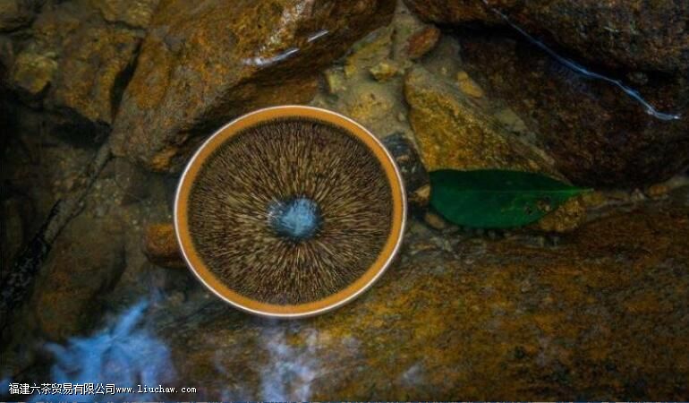 建盏杯可以直接泡茶吗 建盏杯可以直接泡茶吗