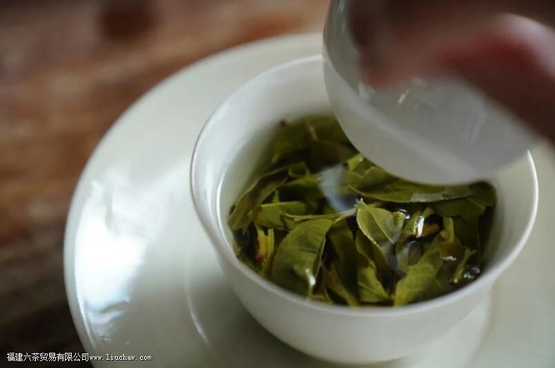 泡茶的茶具你用对了吗?细说泡茶茶具的选择 泡茶的茶具你用对了吗?细说泡茶茶具的选择