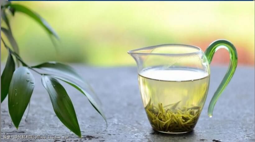 泡绿茶有必要用茶滤吗 泡绿茶有必要用茶滤吗