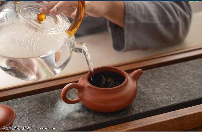 普洱茶用什么杯子泡 普洱茶用什么杯子泡