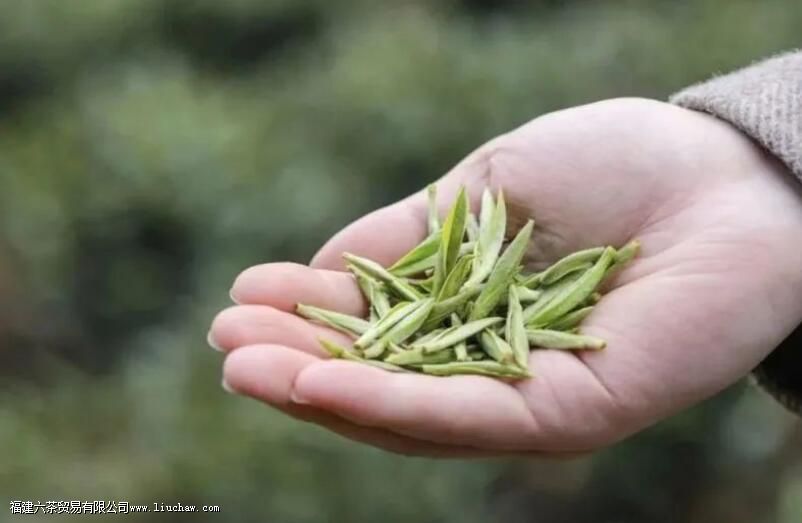 ���Ÿ���ĺ���