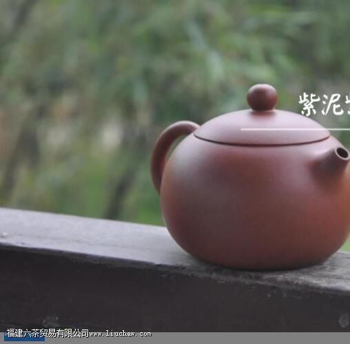 熟普洱用什么紫砂壶泡 熟普洱用什么紫砂壶泡