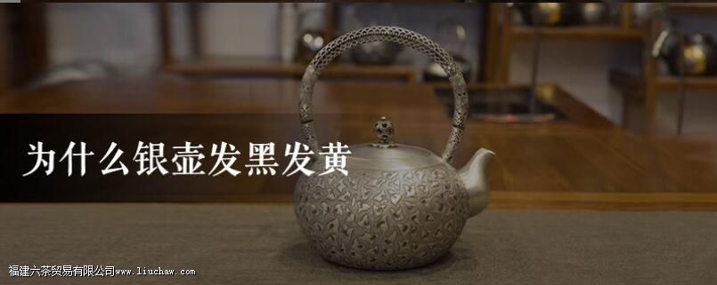 Ϊʲô�������ڷ���