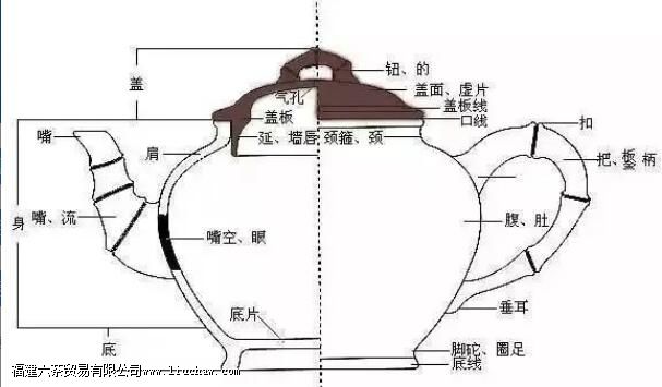 ��ɰ��֪ʶ������Խ���ܾ���ĺ���