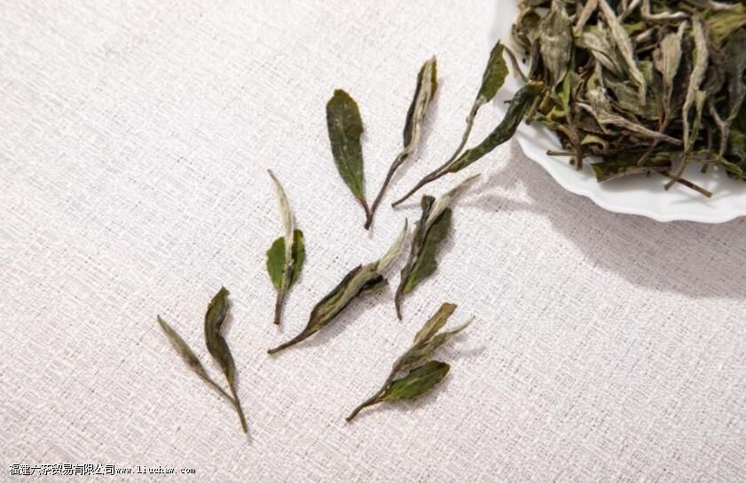 ��ĵ�����